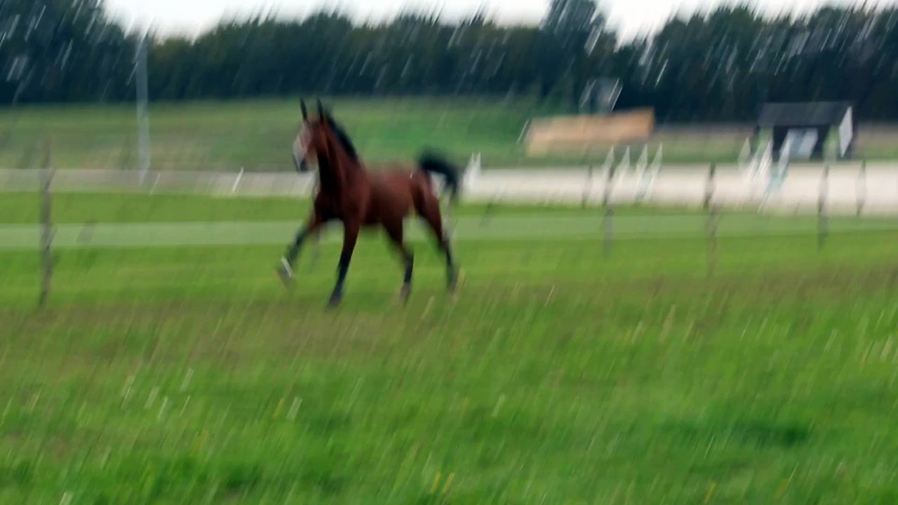 15-10-03 - Liberté 1
