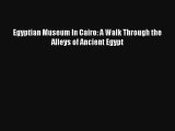 Egyptian Museum In Cairo: A Walk Through the Alleys of Ancient Egypt Download Book Free