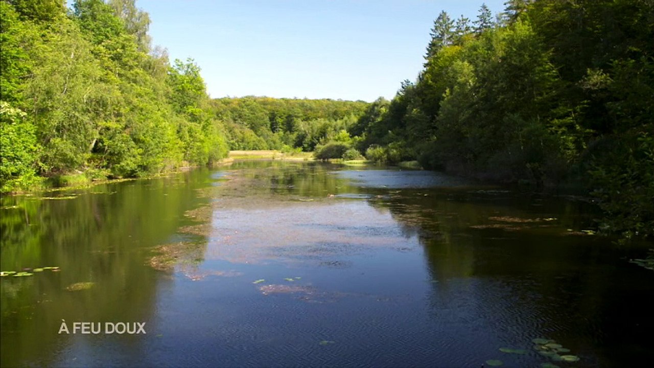 A Feu Doux - Le Calmosien - Vosges (88)