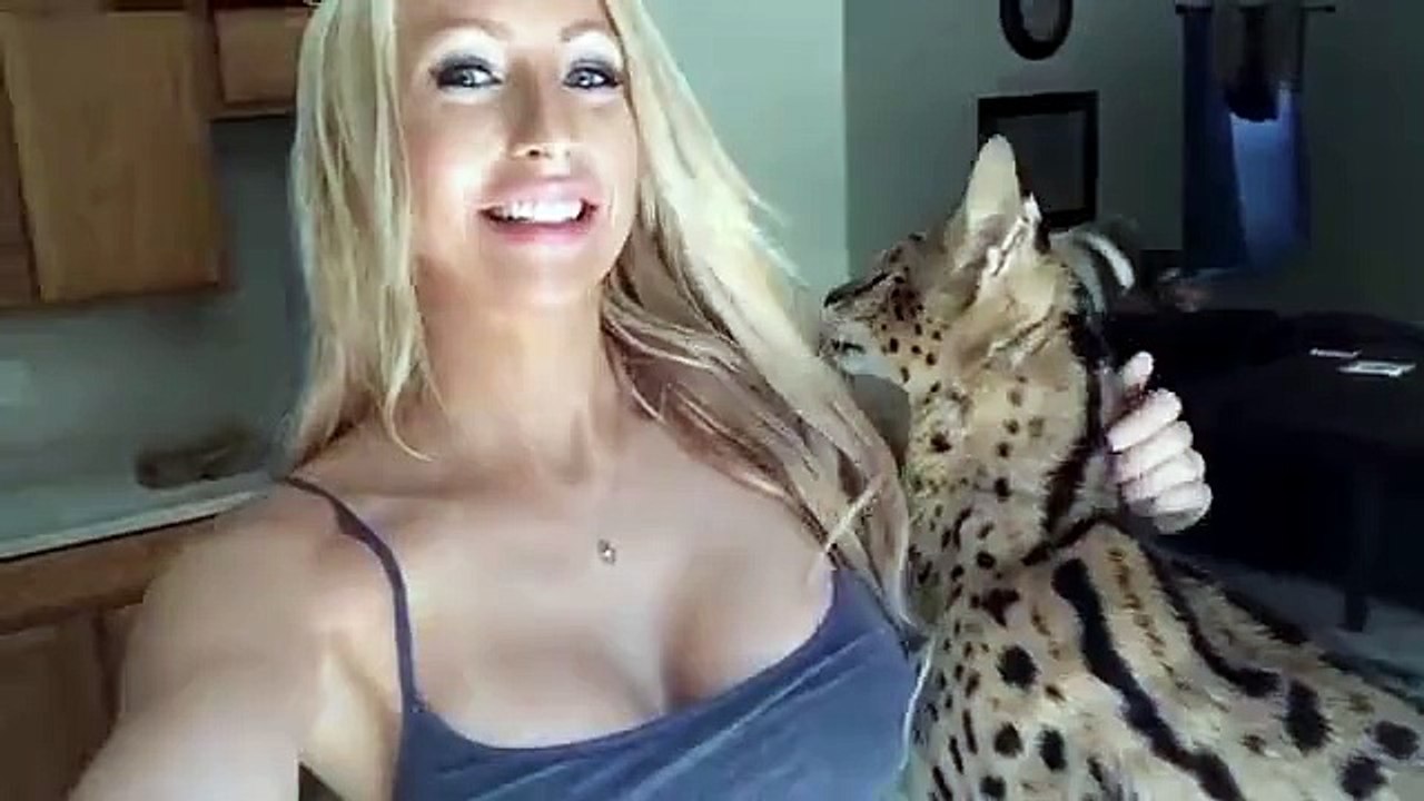 Un serval dit Mama