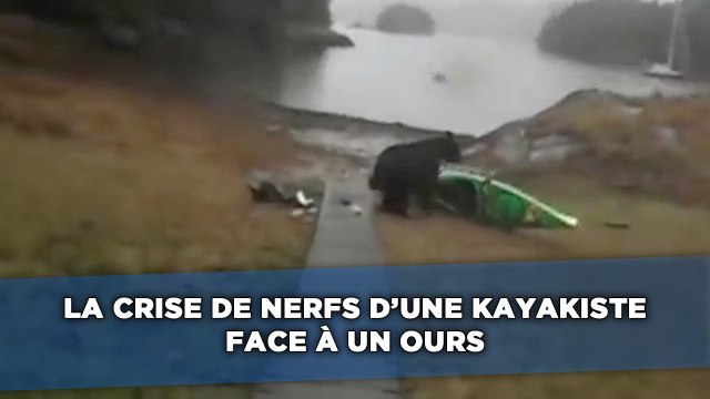 La crise de nerfs d'une kayakiste face à un ours