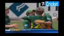 Cricket Blinder & Amazing and Unbelievable Catches