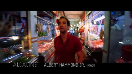 Alcaline, l'Instant - Albert Hammond Jr.