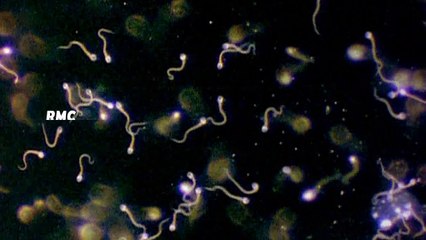 20H45 - Jeudi 8 Octobre - In Utero