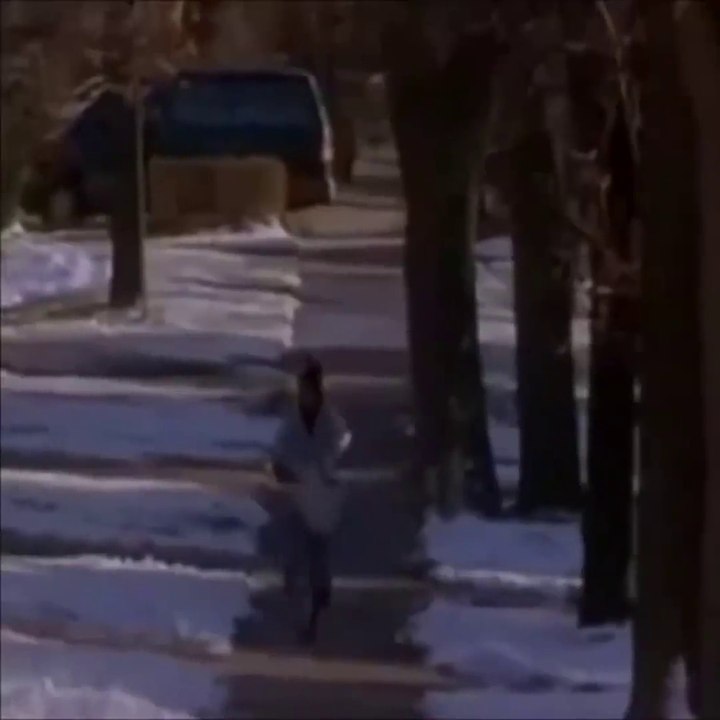 Les plus grosses gamelles de l'année : compilation de FAIL bien ridicules!