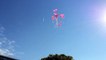 Octobre rose à la préfecture de l'Essonne - Lâcher de ballons