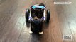 Cute tiny Kitten has a tiny wheelchair as his two back legs are missing