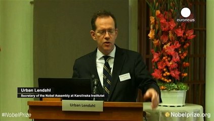 Medizin-Nobelpreis: Drei über 80-Jährige für Wirkstoffe gegen Parasiten geehrt