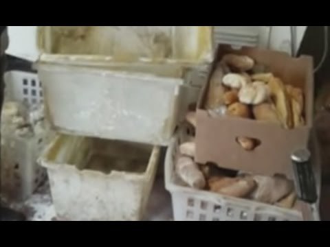 Lecce - Topi e insetti in un panificio, sequestro dei Nas (05.10.15)