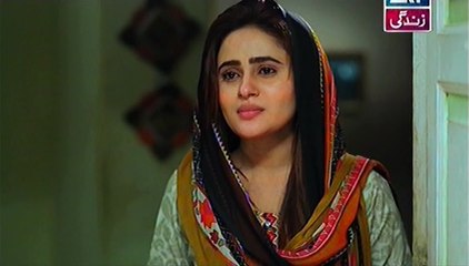 Behnein Aisi Bhi Hoti Hain Episode 306 Full on Ary Zindagi