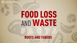 Food loss and waste facts – Roots and tubers
