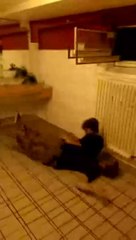 4FUCKR ADMIN MARINA KNALLT MIT MATSCHBIRNE GEGEN HEIZUNG LEL