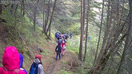randonnée en forêt