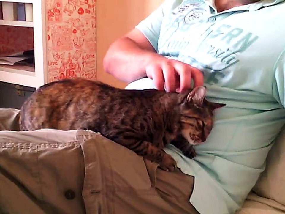 praline à l'adoption