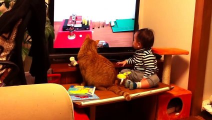 Bebeğin ve Kedinin Tam Konsantre Televizyonu İzlemesi