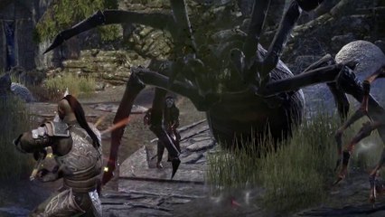 The Elder Scrolls Online Tamriel Unlimited – Reforging Orsinium HD