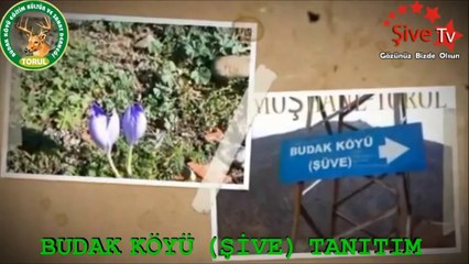 Budak (Şive) Köyü Tanıtım