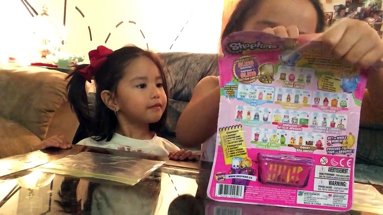 Shopkins Toy