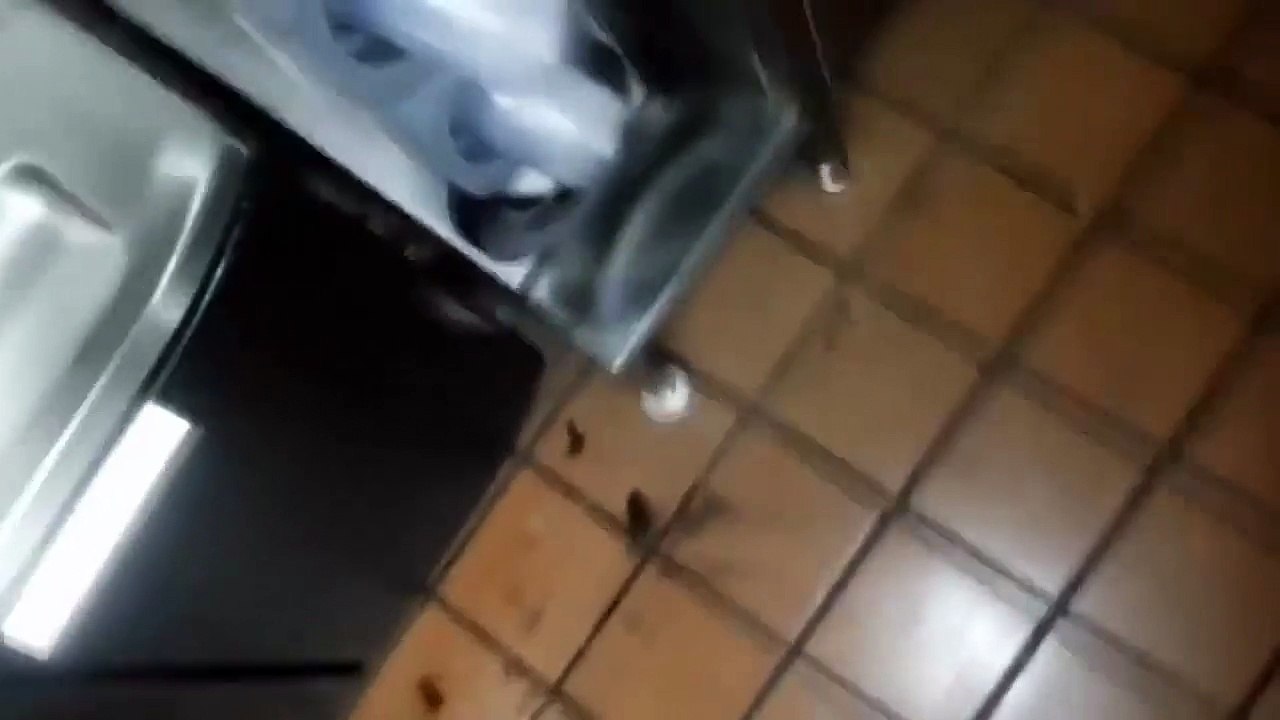 Beetle attack