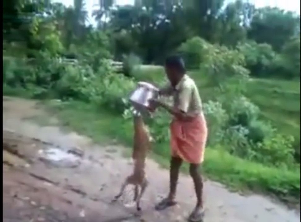 Whatsapp Comedy Video 2015 - Never Seen B4 -- 4