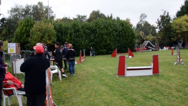 Agility Verrière Jumping