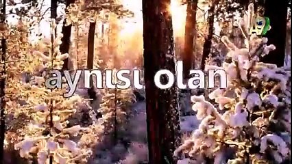 Doğanın akıl almaz mucizesine tanık olun