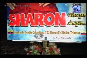 Nueva audiencia de tránsito, tras nueve meses de la partida de Sharon “La Hechicera”