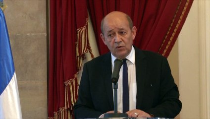 Le Drian : "Les frappes de la Russie contre Daesh sont rares"
