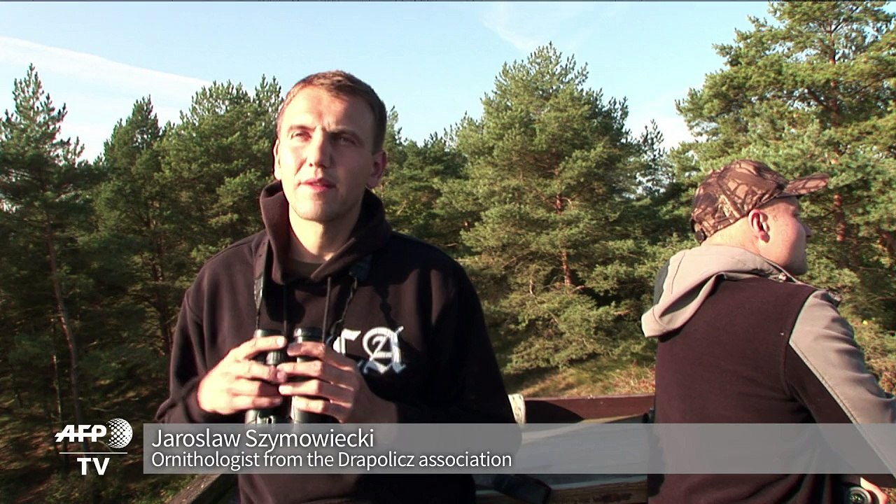 Bird lovers take to Baltic Coast