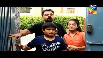 Mr Shamim Episode 31 HUM TV Drama 03 Oct 2015