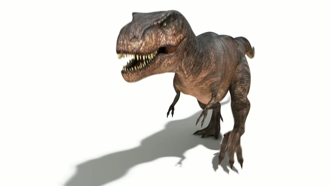 TREX teaser