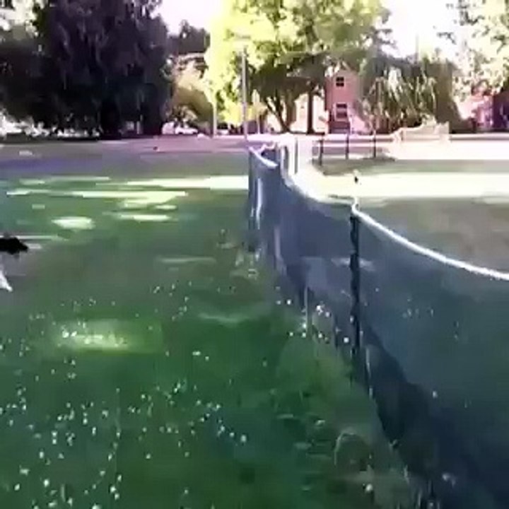 Funny