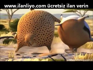 Hayvanlar Obez Olsaydı Nasıl Olurdu