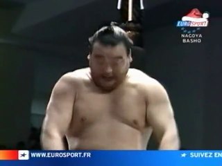 Sumo : Nagoya Basho 2004 - Days 7 8 9
