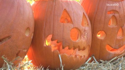 How to use pumpkin guts for everything from snacks to face masks