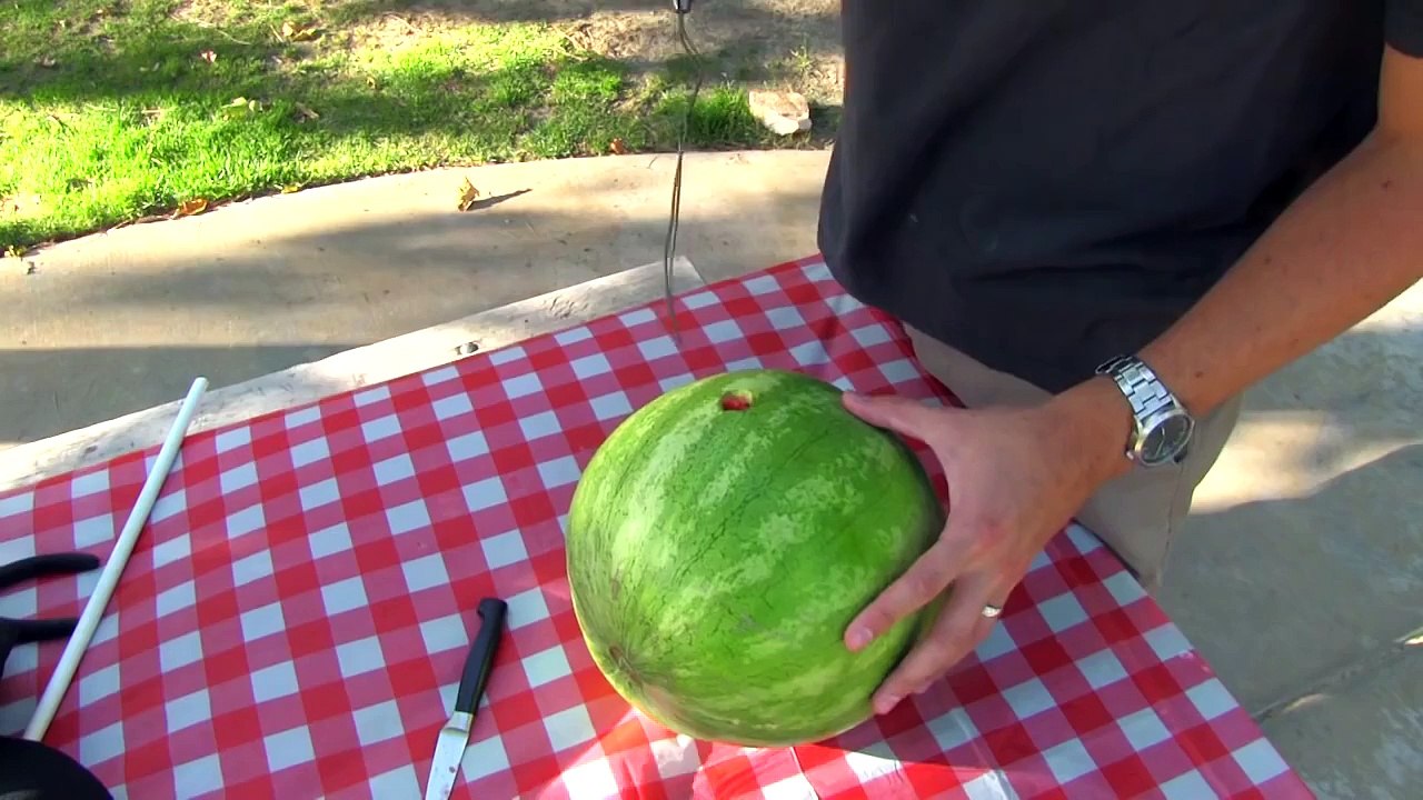 Watermelon smoothie hack in 2 minutes- No mess