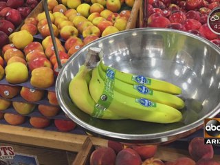 Smart Shopper: Pricing of grocery goods