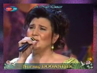 Nursaç DOĞANIŞIK *Bülbül Bir Yumurta Guzlar*