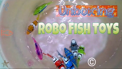 Unboxing Robo Fish Toys