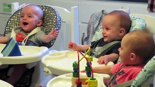 Funny Triplet Babies Laughing Compilation [HD]