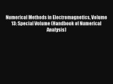 AudioBook Numerical Methods in Electromagnetics Volume 13: Special Volume (Handbook of Numerical