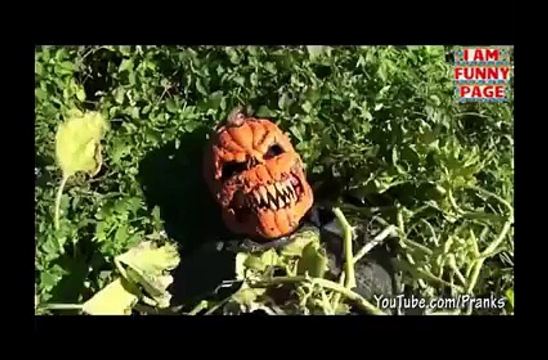 Scary Pumpkin Patch Killer Prank !