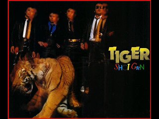 タイガーと呼ばれた男