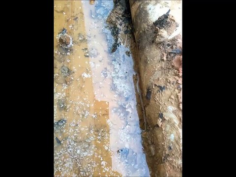 KANALİZASYON AÇMA, LAĞIM FARELERİ