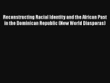 Reconstructing Racial Identity and the African Past in the Dominican Republic (New World Diasporas)