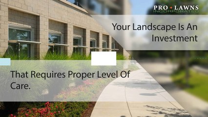Quality Lawn Maintenance Services in St Louis - Watch Now!