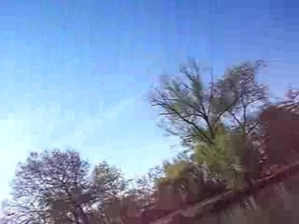 Aiki pied marin pedalo