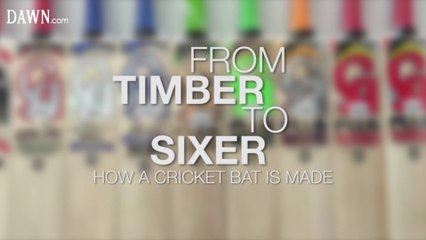 From Timber to Sixer: How a cricket bat is made