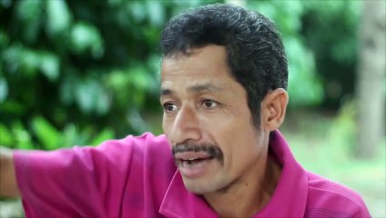 Gánh nợ 'vay cặp sừng, trả con bò" ở Tây Nguyên