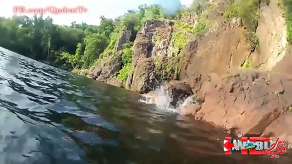 - Amazing Video Compilation When Animal Attacks Human